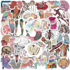 Set Sticker Anatomia Decorativo Stickers Skateboard Huesos